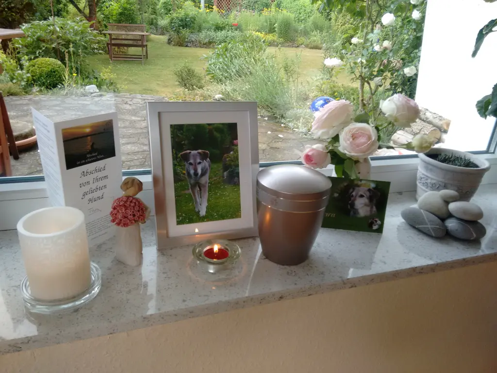 Condolence image of Andrea
