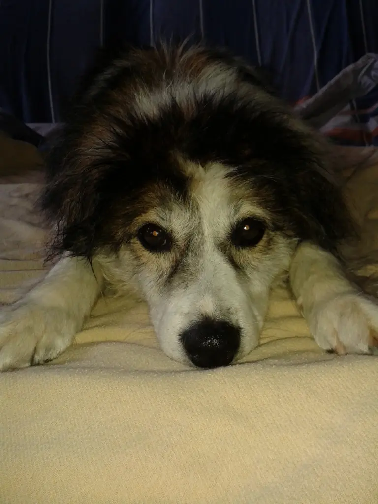 Condolence image of Sylvia