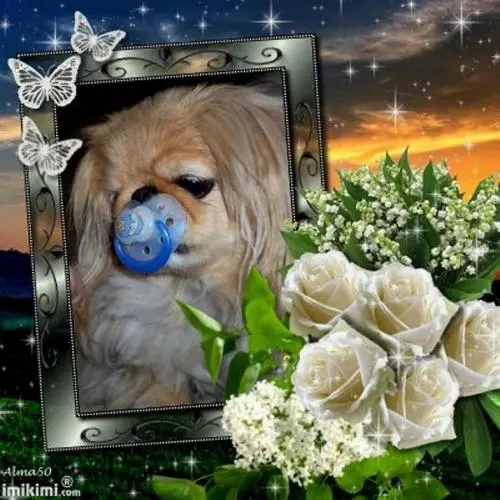 Image from ? meine entzückende Sina ?