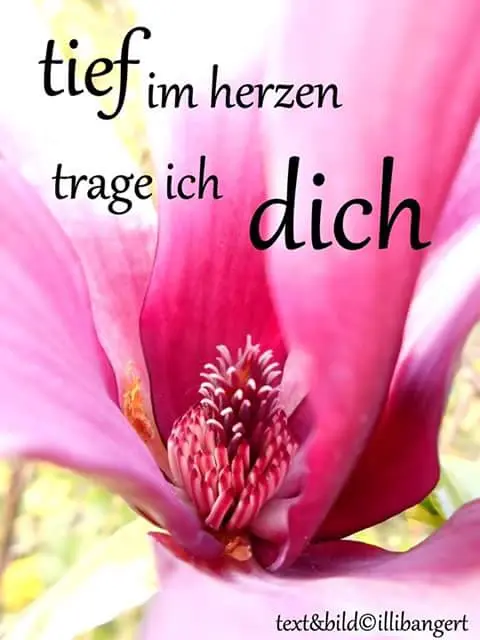 Condolence image of Frauchen