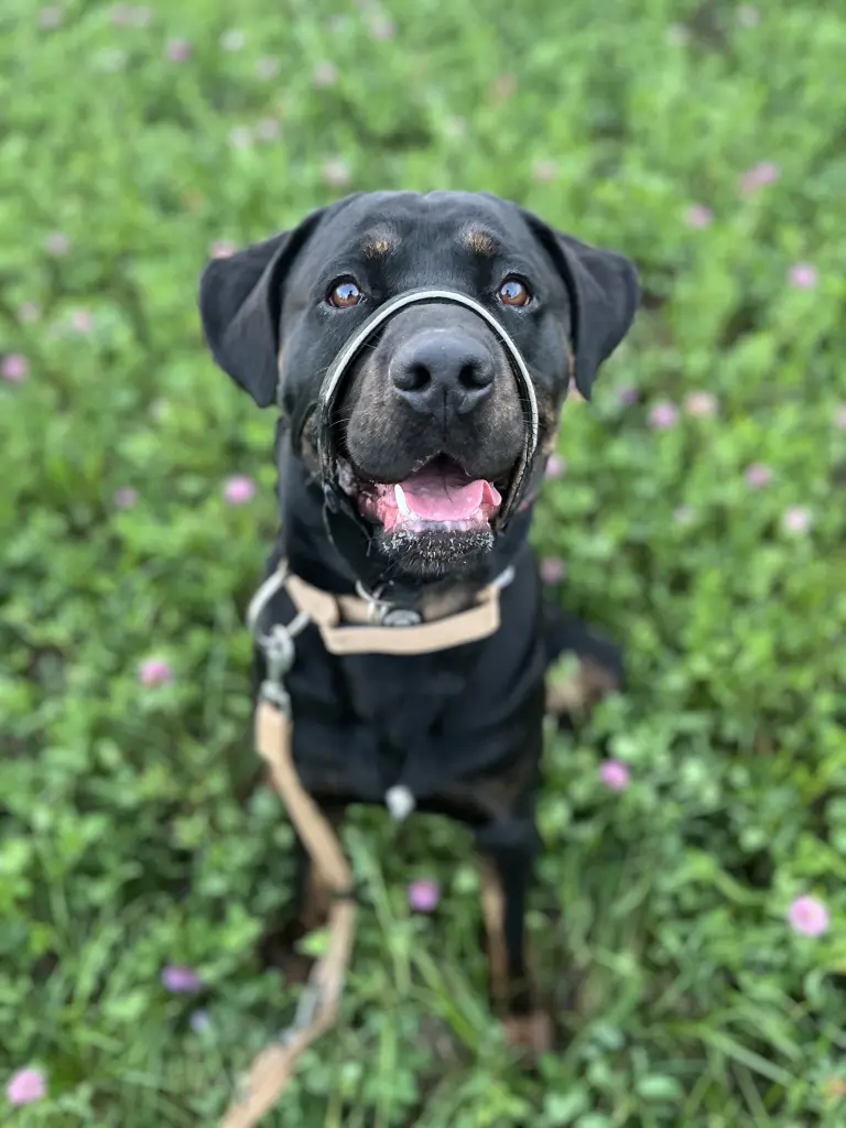 ♥️