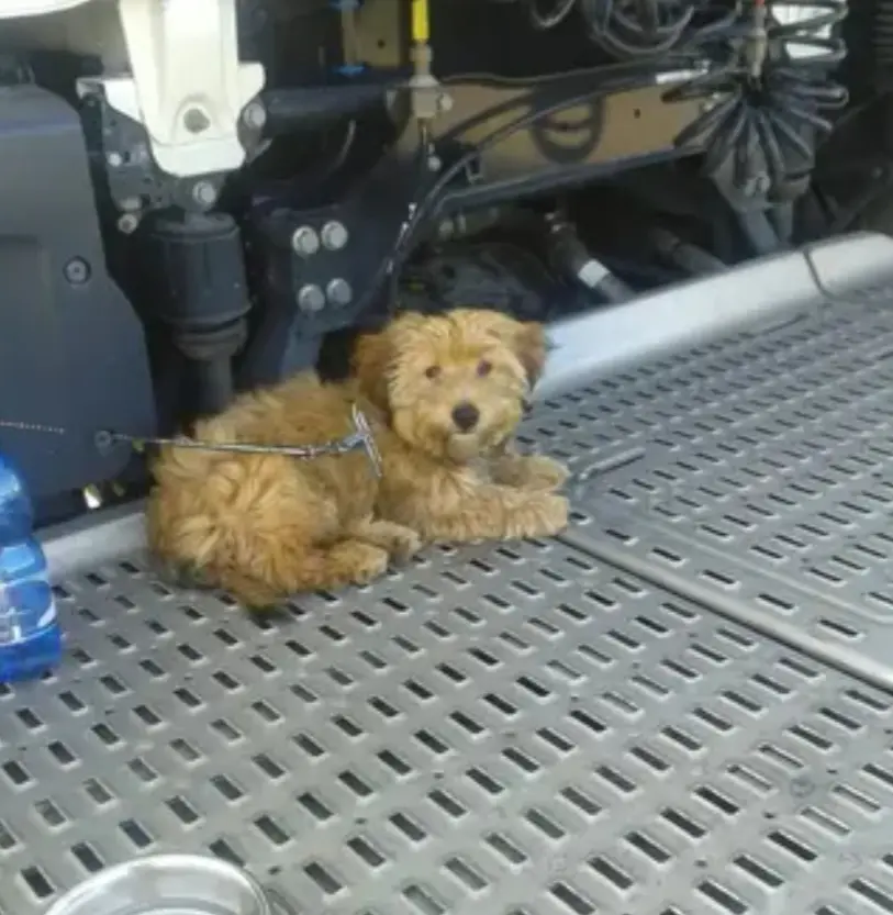 Image from Sammy