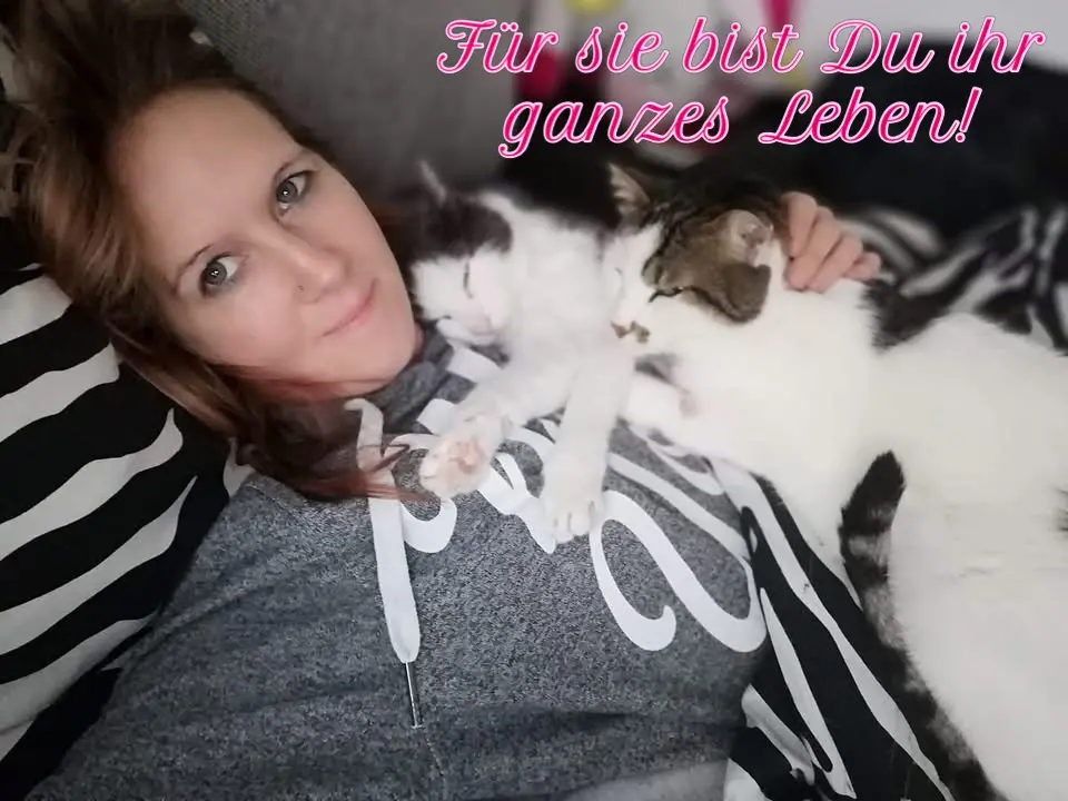 Bild von Kinou
