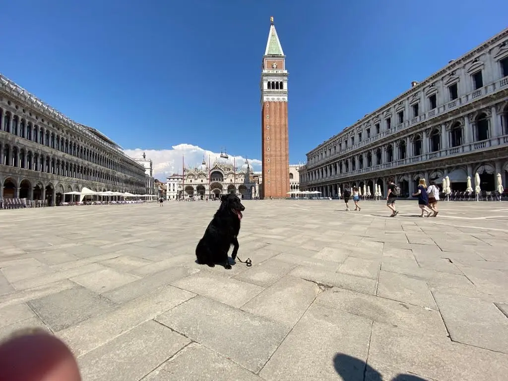 In Venedig auf dem Markusplatz