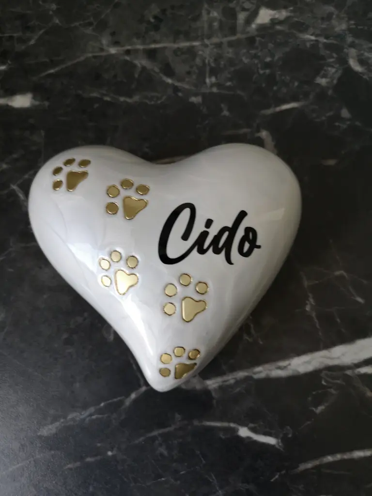 Schön das Du wieder da bist 🌹