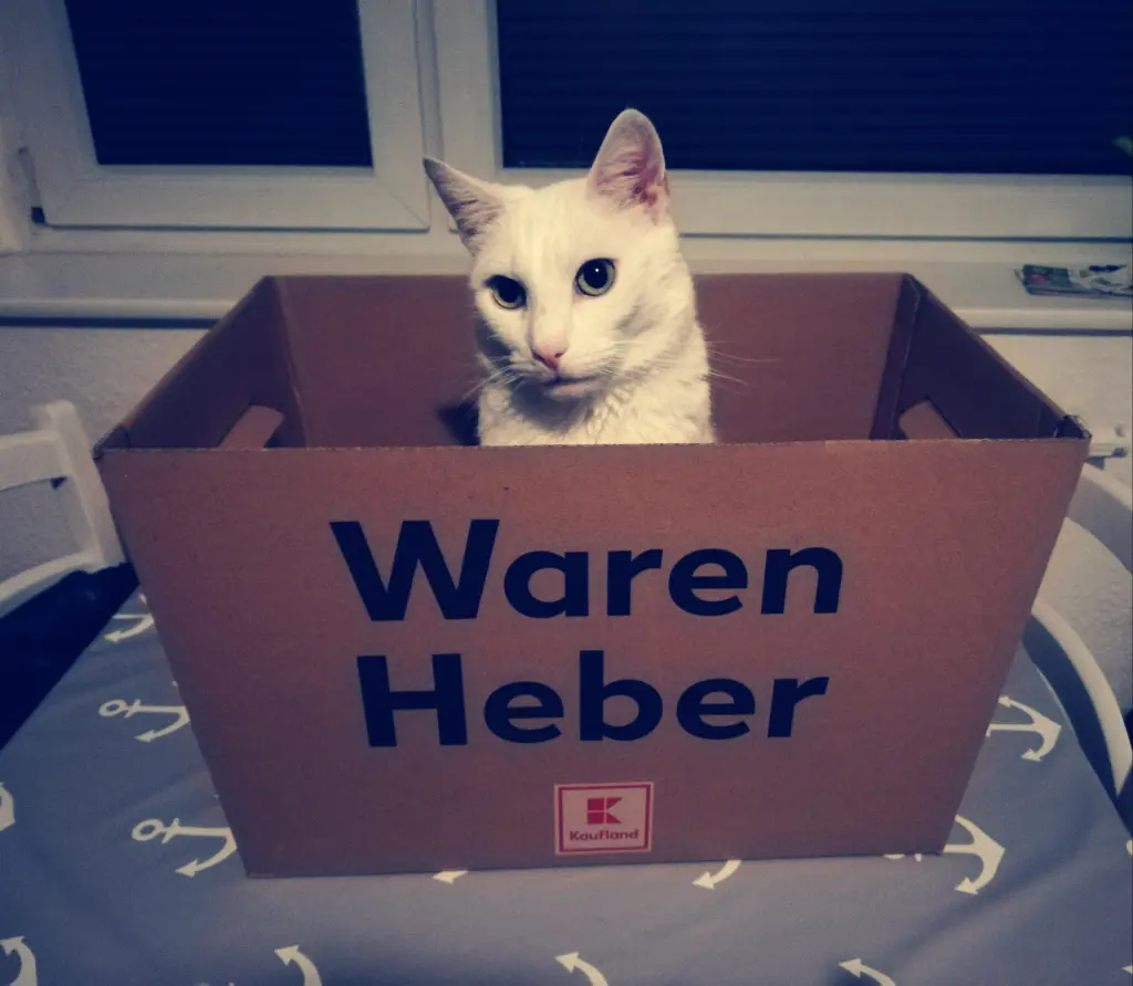 Image from Weißchen