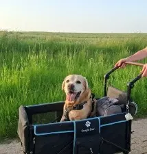 Enjoying his hike in his senior yrs