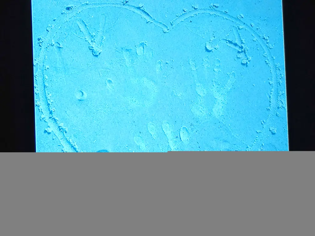 Condolence image of T+A+V aus Spergau