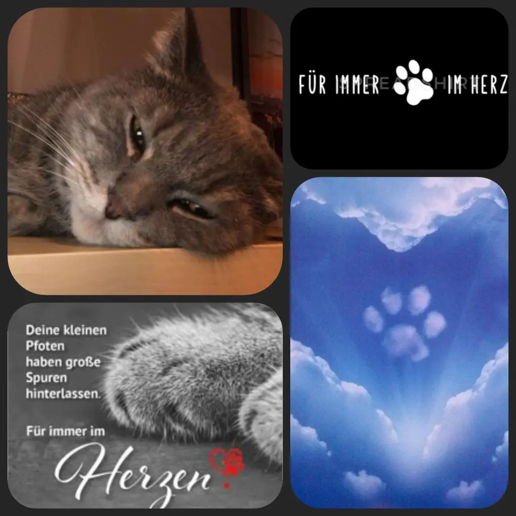 Condolence image of Conny