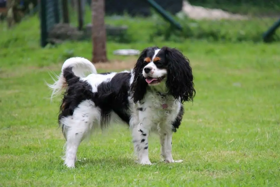 Image from Finja (Uschi)