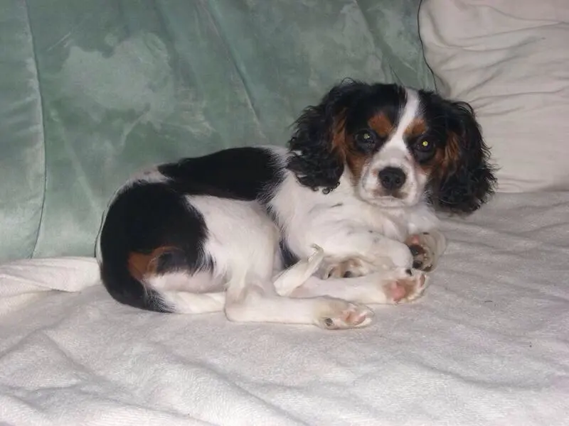 Image from Finja (Uschi)