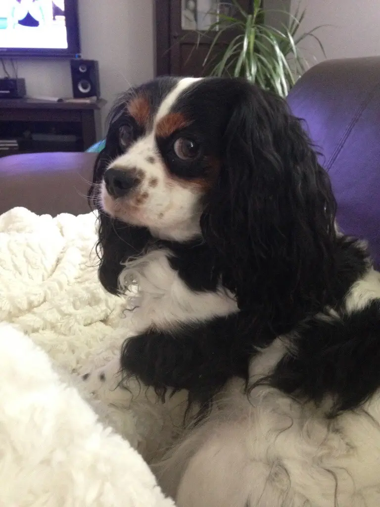 Image from Finja (Uschi)
