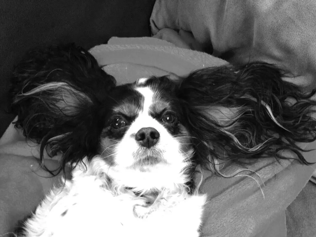 Image from Finja (Uschi)