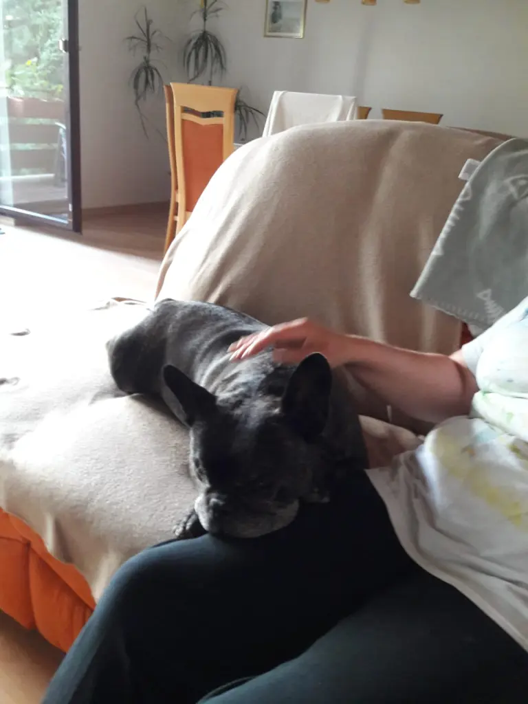 Condolence image of Alois und Gudrun mit Yoda ❤️