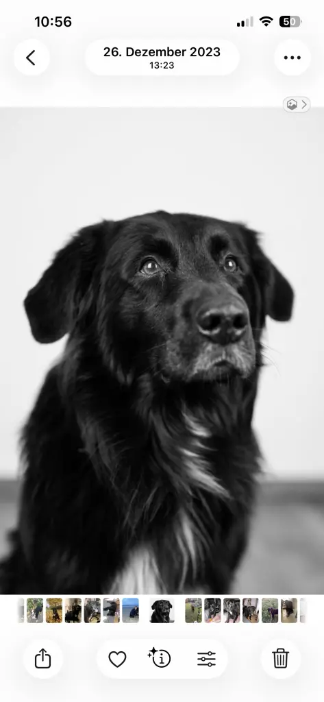 Bild von Mein geliebter Milow