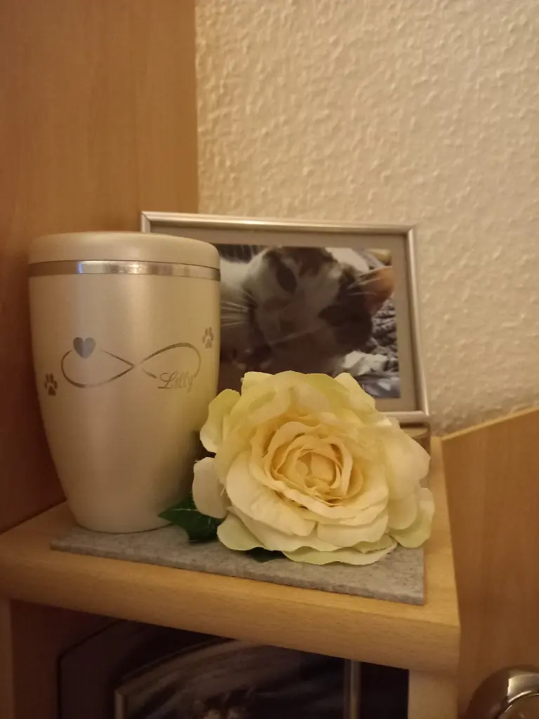 Für immer in meinem Herzen