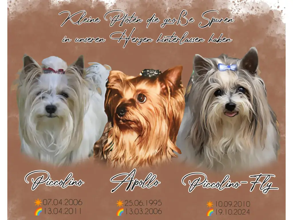 Condolence image of Konny mit Apollo,Piccolino &Piccolino-Fly tief im ❤️