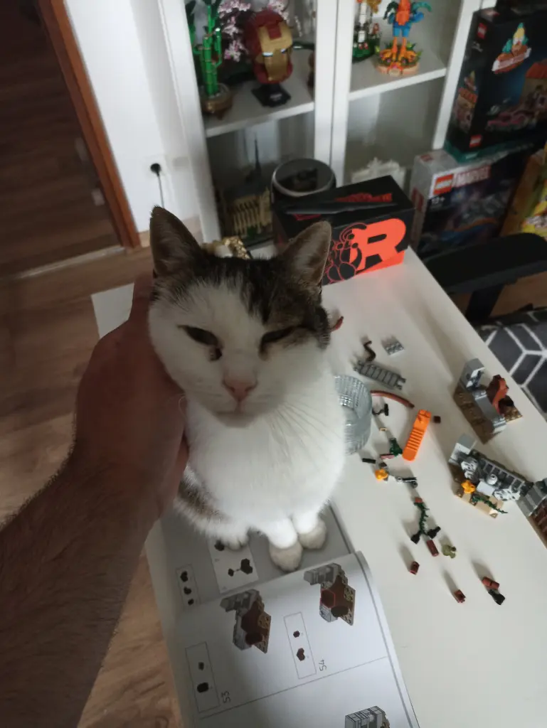 Bild von Oskar
