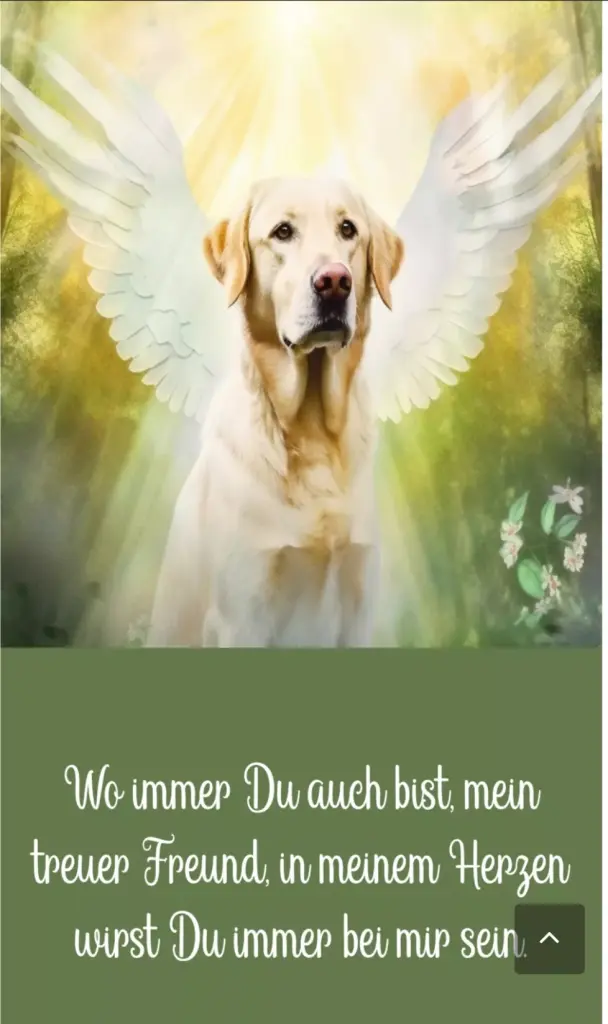 Condolence image of Marilies
