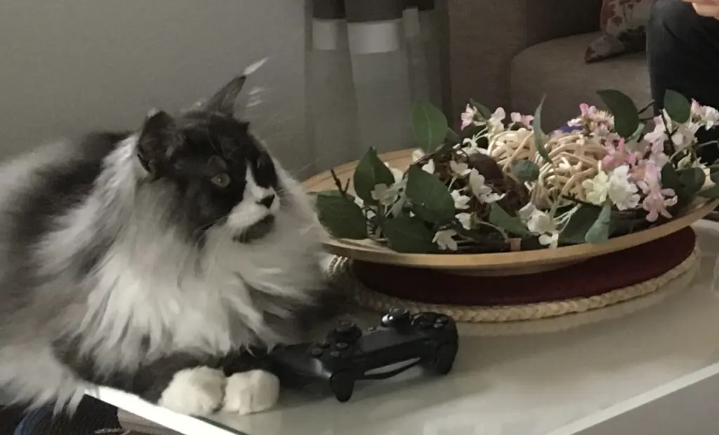 Condolence image of Melanie