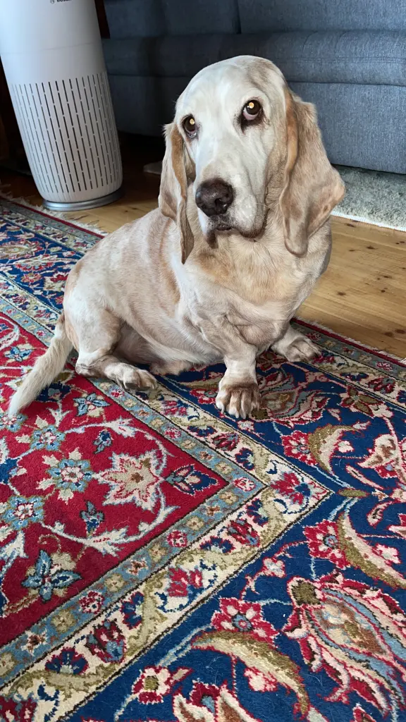 Skeptisch