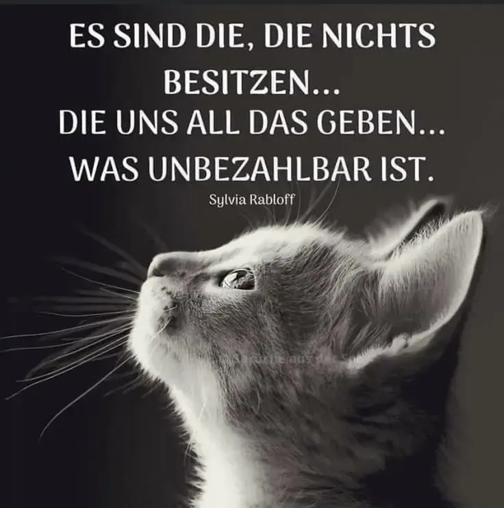 Condolence image of Konny mit Piccolino-Fly tief im ❤️