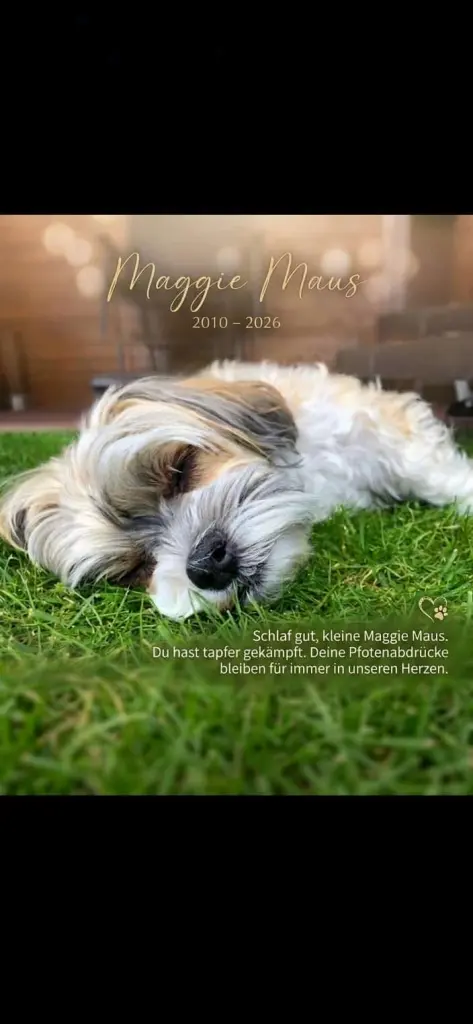 Bild von Maggie