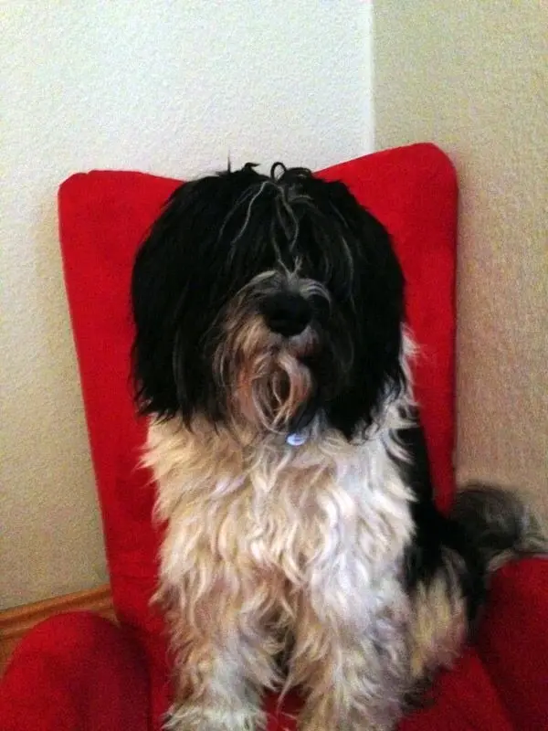 Image from Monty