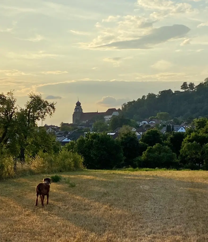 Meine Hood