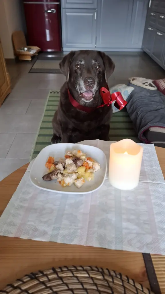 Dein 15.Geburtstag