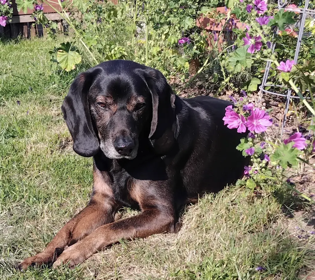 Condolence image of Sigrid