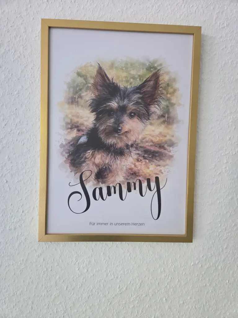 Image from Sammy