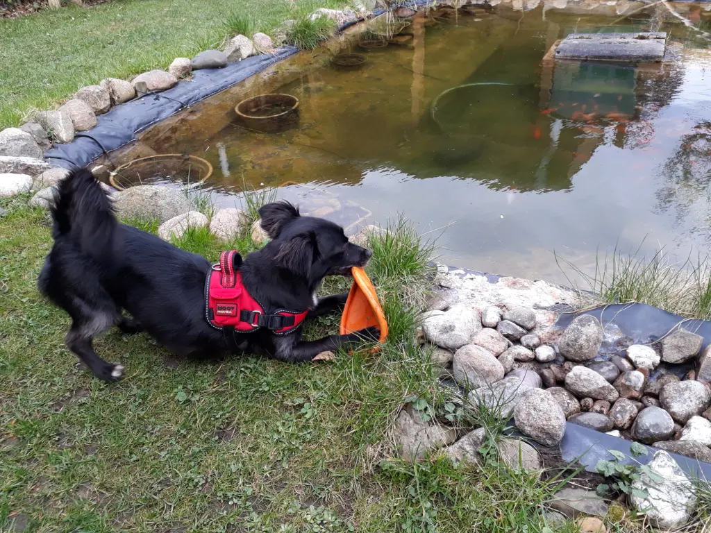 Und wieder keine Fische