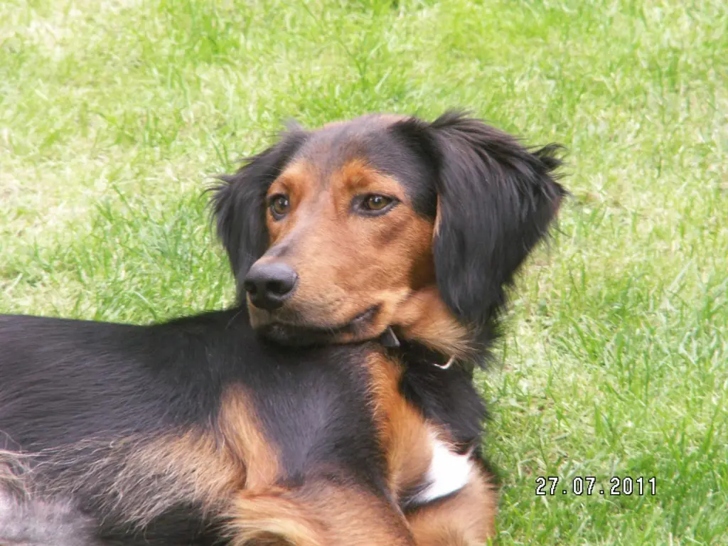 Bild von Filou
