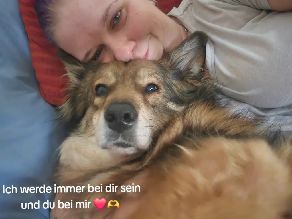Du fehlst mir so unbeschreiblich mein Engel Kira ❤️😭