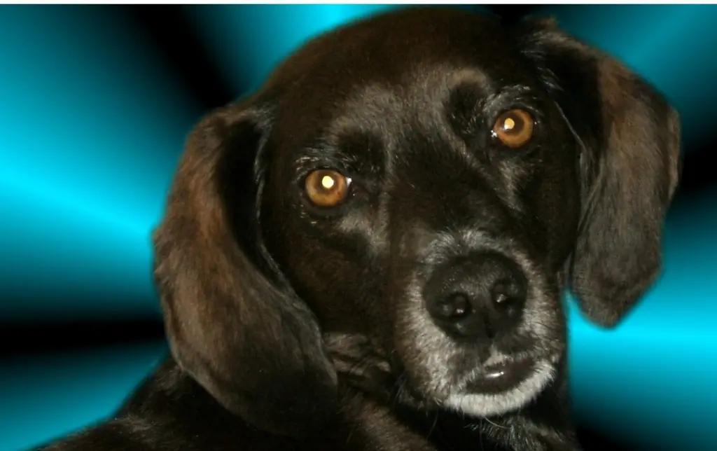 Condolence image of Erika Cremer