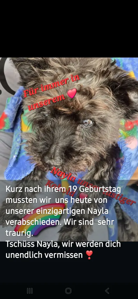 Image from Nayla