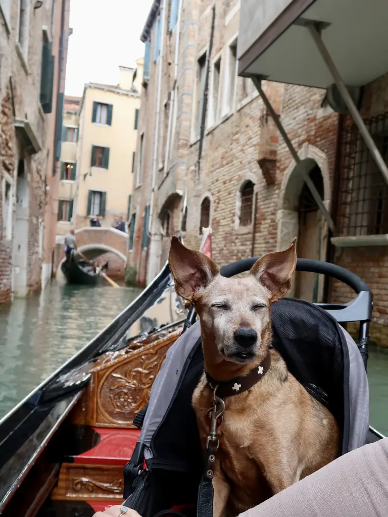 Image from Avita