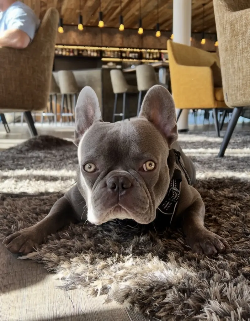 Bild von Cooper