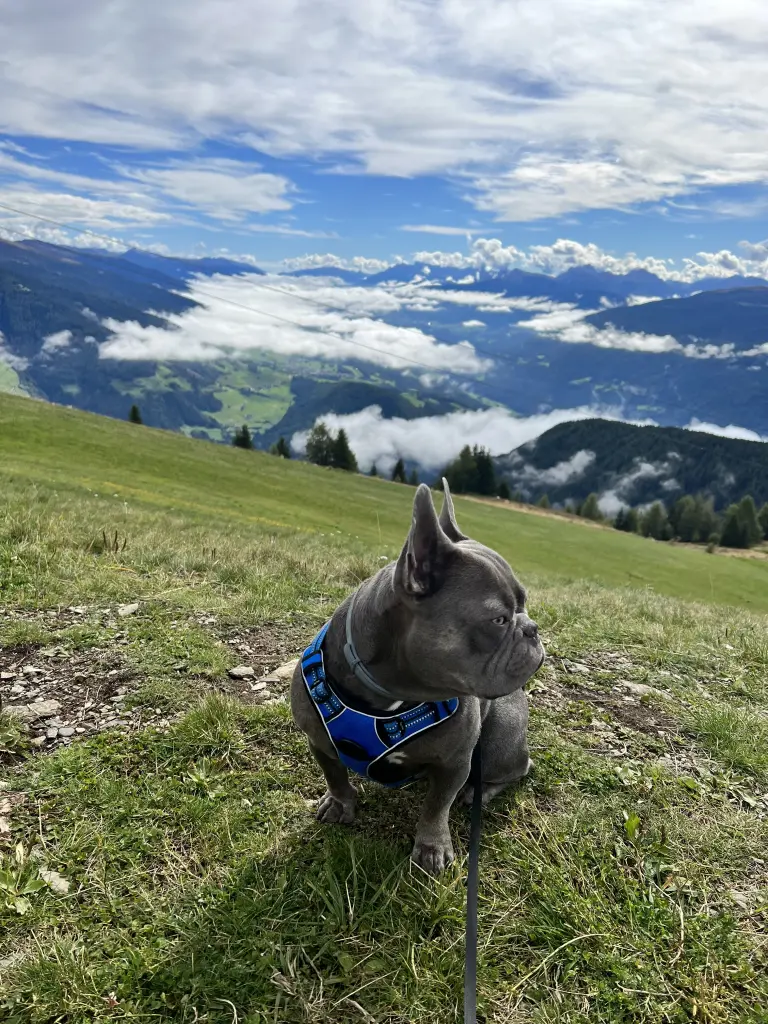 Beim Wandern in Südtirol