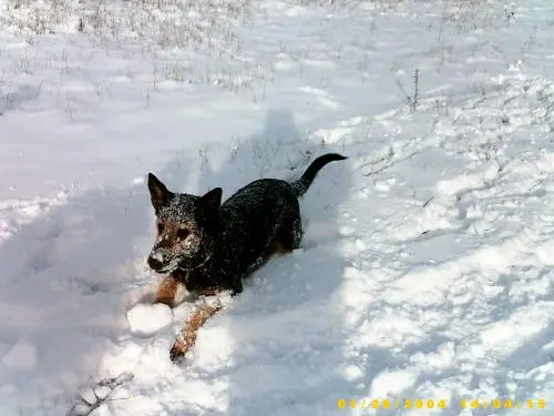 Image from Unbekannt