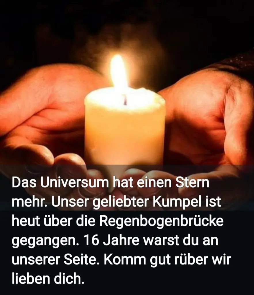 Image from Kumpel