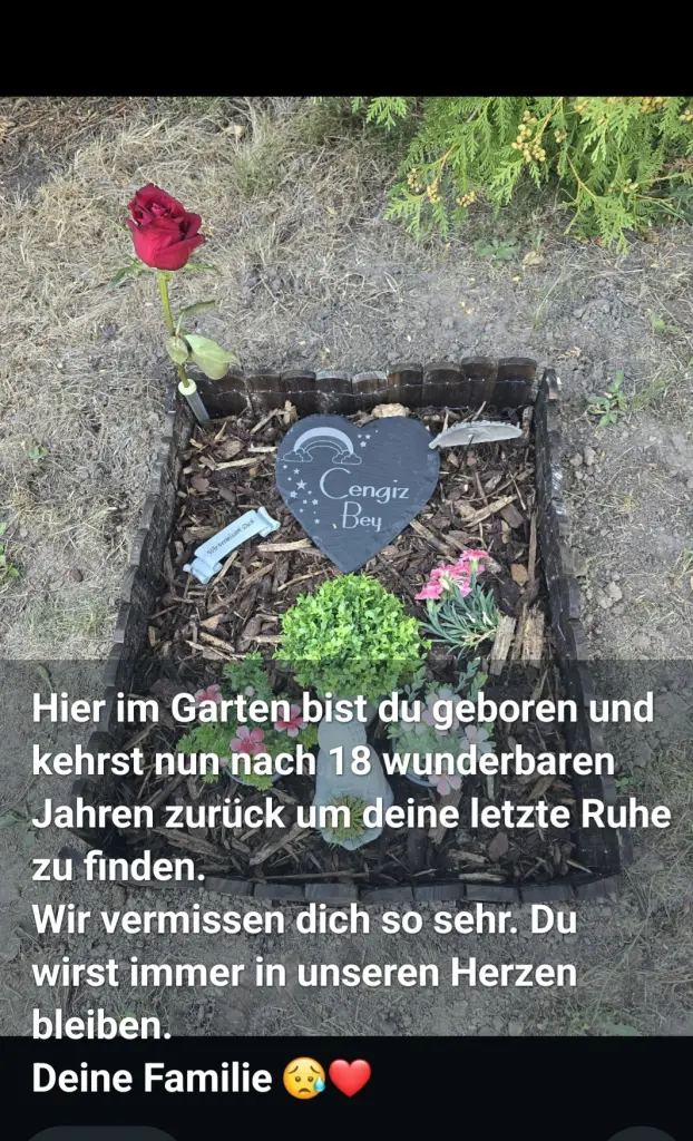 Image from Cengiz