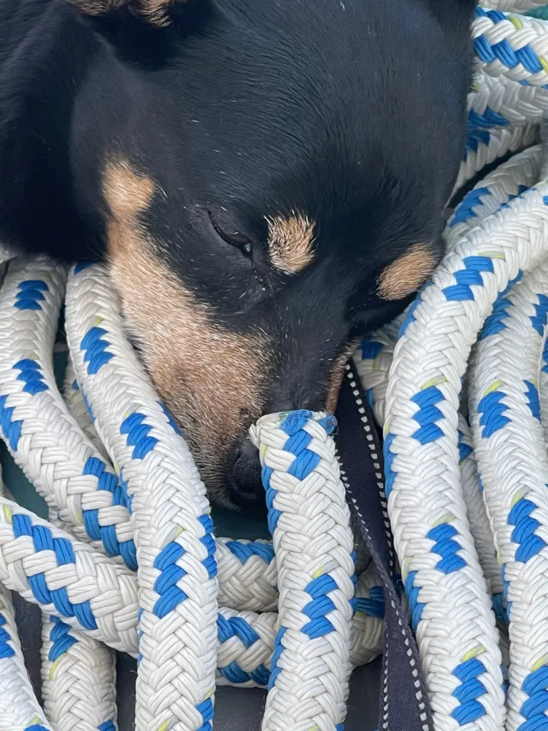 Andachtsbild von Mama