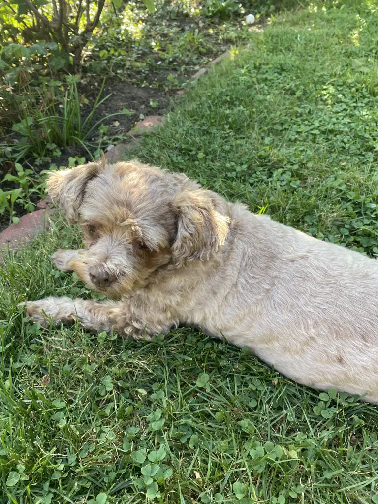 🥰🥰🥰