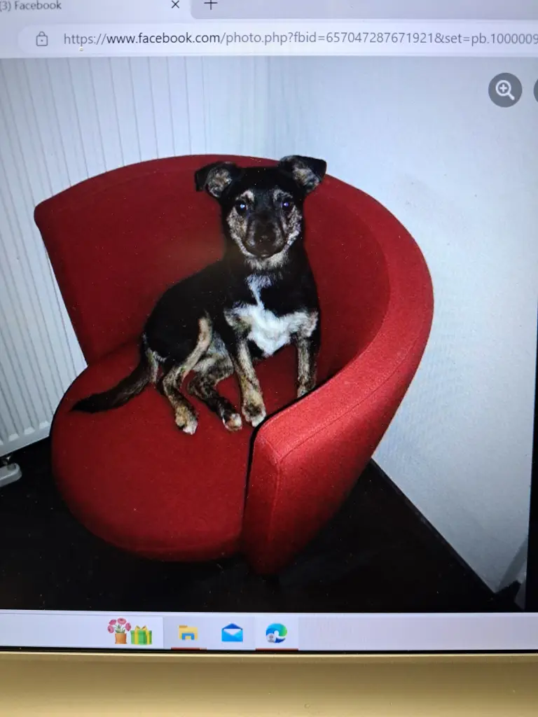 Image from Kika