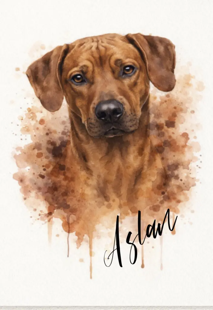 Bild von Aslan