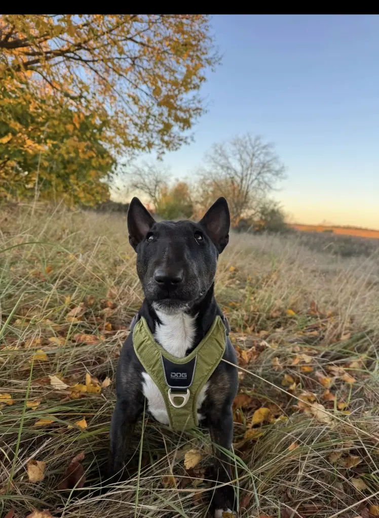 Bild von Daria