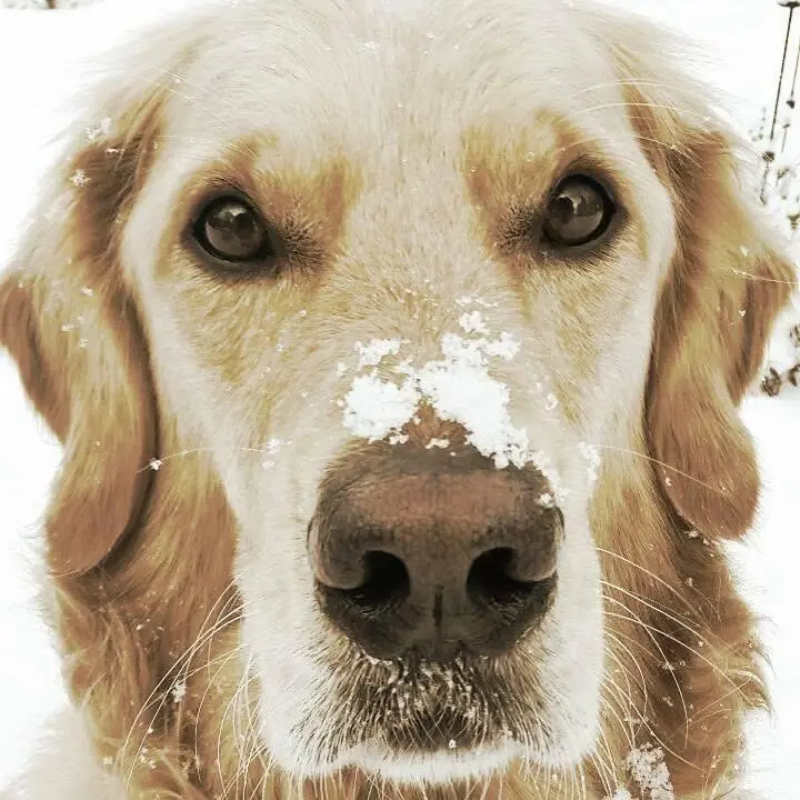 Bild von Rocky