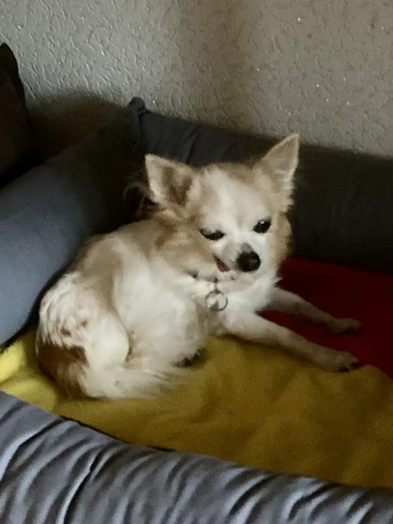 Image from Nelly